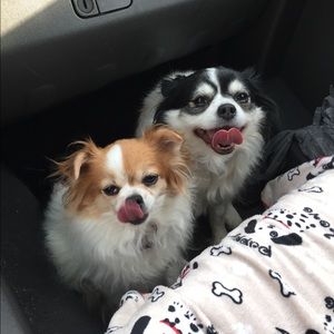 Meet your Posher, Amy